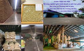 GANG THÉP HÀ NỘI SẢN XUẤT VÀ XUẤT KHẨU THƯƠNG MẠI CÀ PHÊ