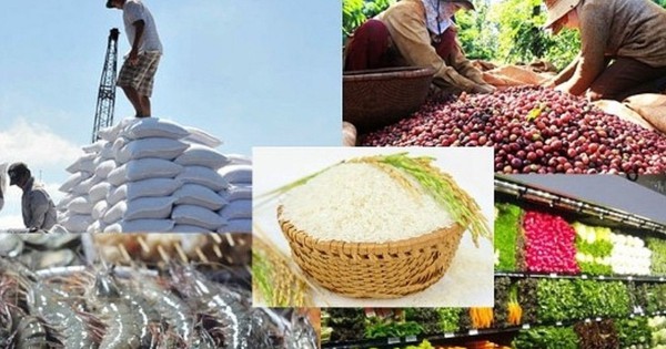 Nhiều triển vọng từ bán hàng nông sản online