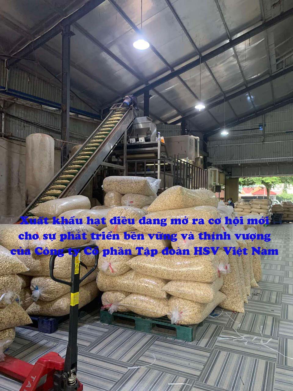 Kinh tế Việt Nam đã đi qua những ngày 'giông bão'?