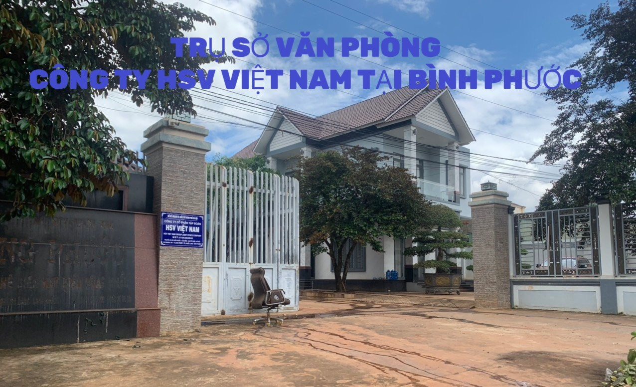 Xuất khẩu hạt điều HSV VIETNAM GROUP bứt phá với thị trường