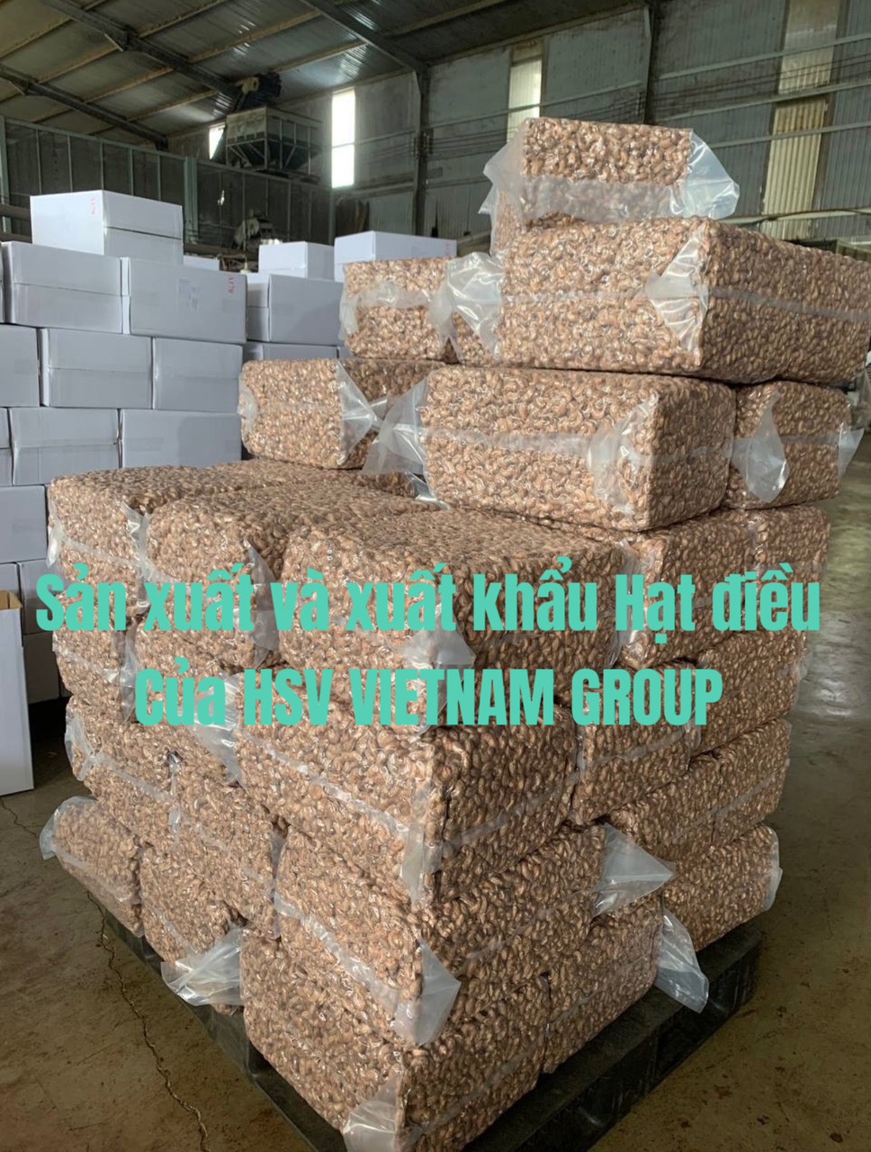 Những mặt hàng giúp nông sản Việt xuất khẩu ngoạn mục