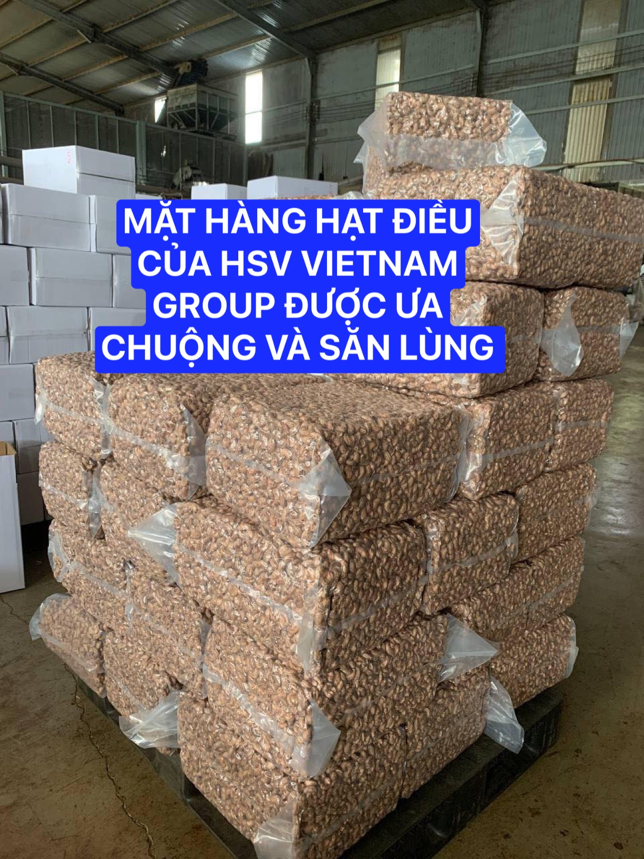 'Kho vàng tỷ đô' được gần 1/2 thế giới ưa chuộng: Mỹ, Trung Quốc mạnh tay săn lùng, Việt Nam thống trị nguồn cung toàn cầu
