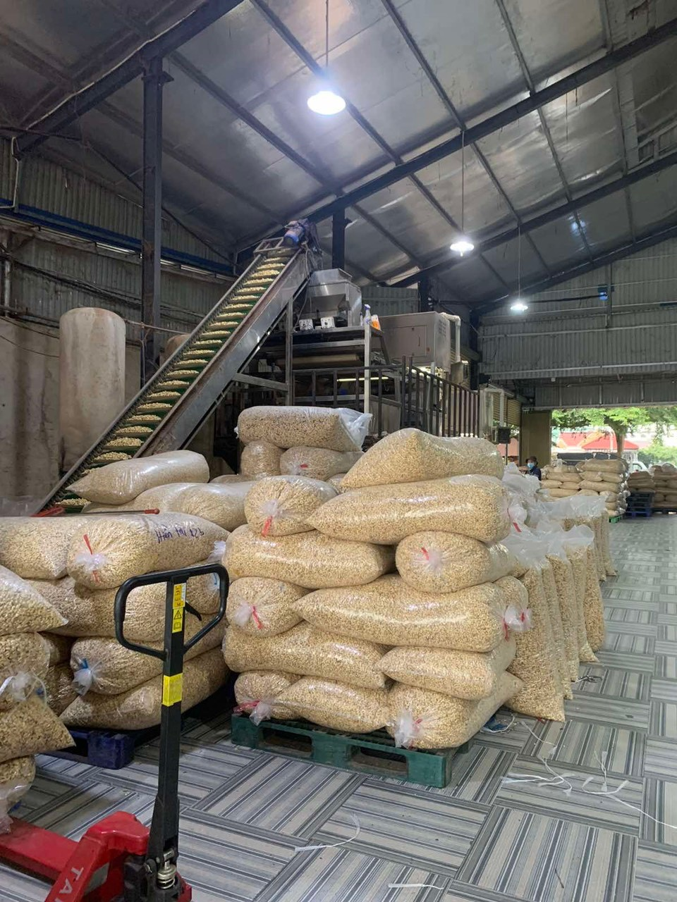 Ngoài sầu riêng, một loại nông sản đắt đỏ của Việt Nam được Trung Quốc dốc hầu bao săn lùng: Diện tích trồng gấp 7 lần so với láng giềng, là 'của hiếm' của thế giới
