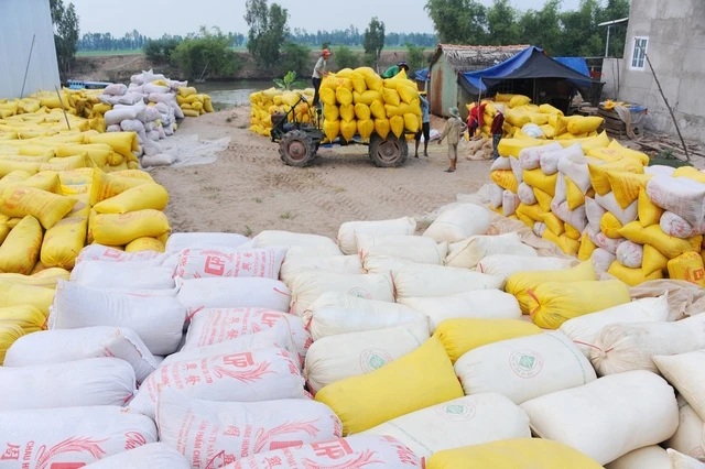 Nông nghiệp vẫn là trụ đỡ cho nền kinh tế