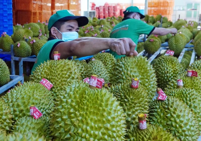Những nông sản chủ lực cho mục tiêu 55 tỉ USD