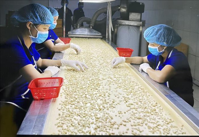 Gạo, cà phê, rau quả xuất khẩu của Việt Nam 'đắt hàng'