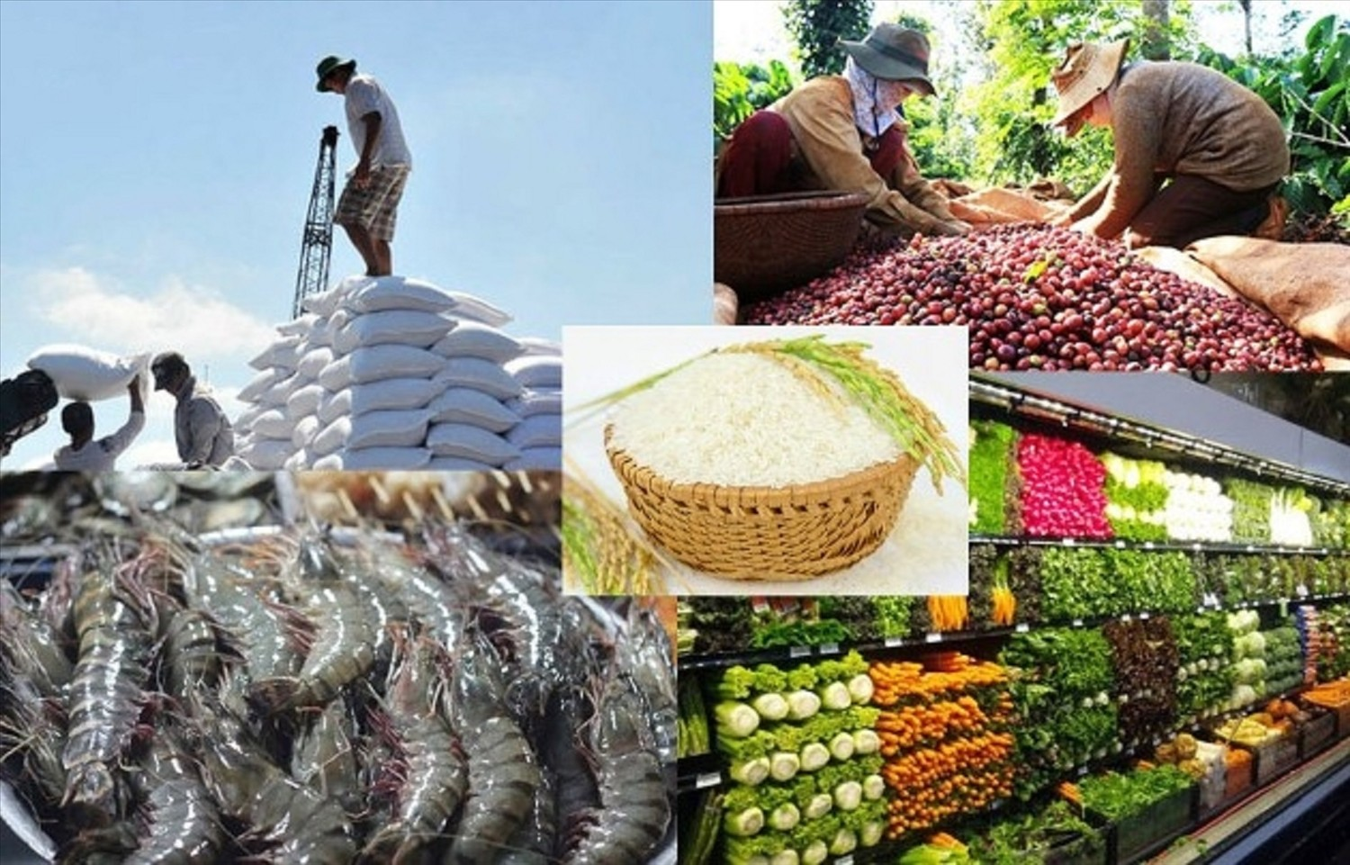 Xuất khẩu gạo, cà phê, rau quả tăng mạnh, Việt Nam thu về gần 10 tỉ USD trong 2 tháng