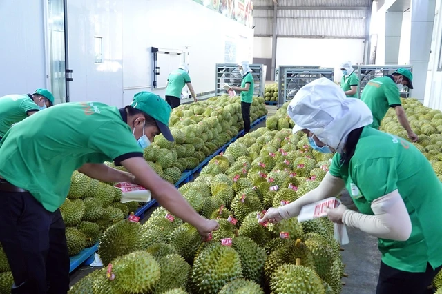 Nhiều nông sản 'hốt' tỉ USD ngay đầu năm