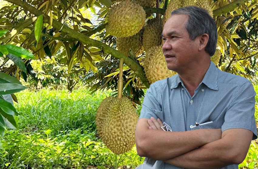 Bầu Đức và Hoàng Anh Gia Lai đang trông chờ vụ sầu riêng bội thu
